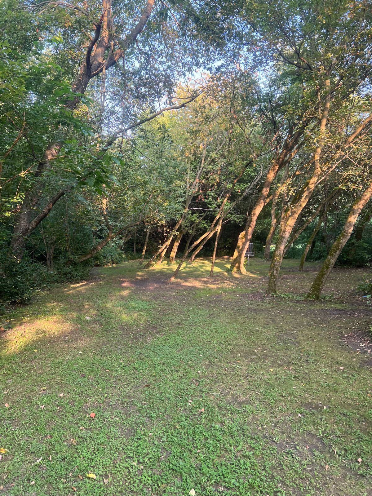Hole 4: Short Approach