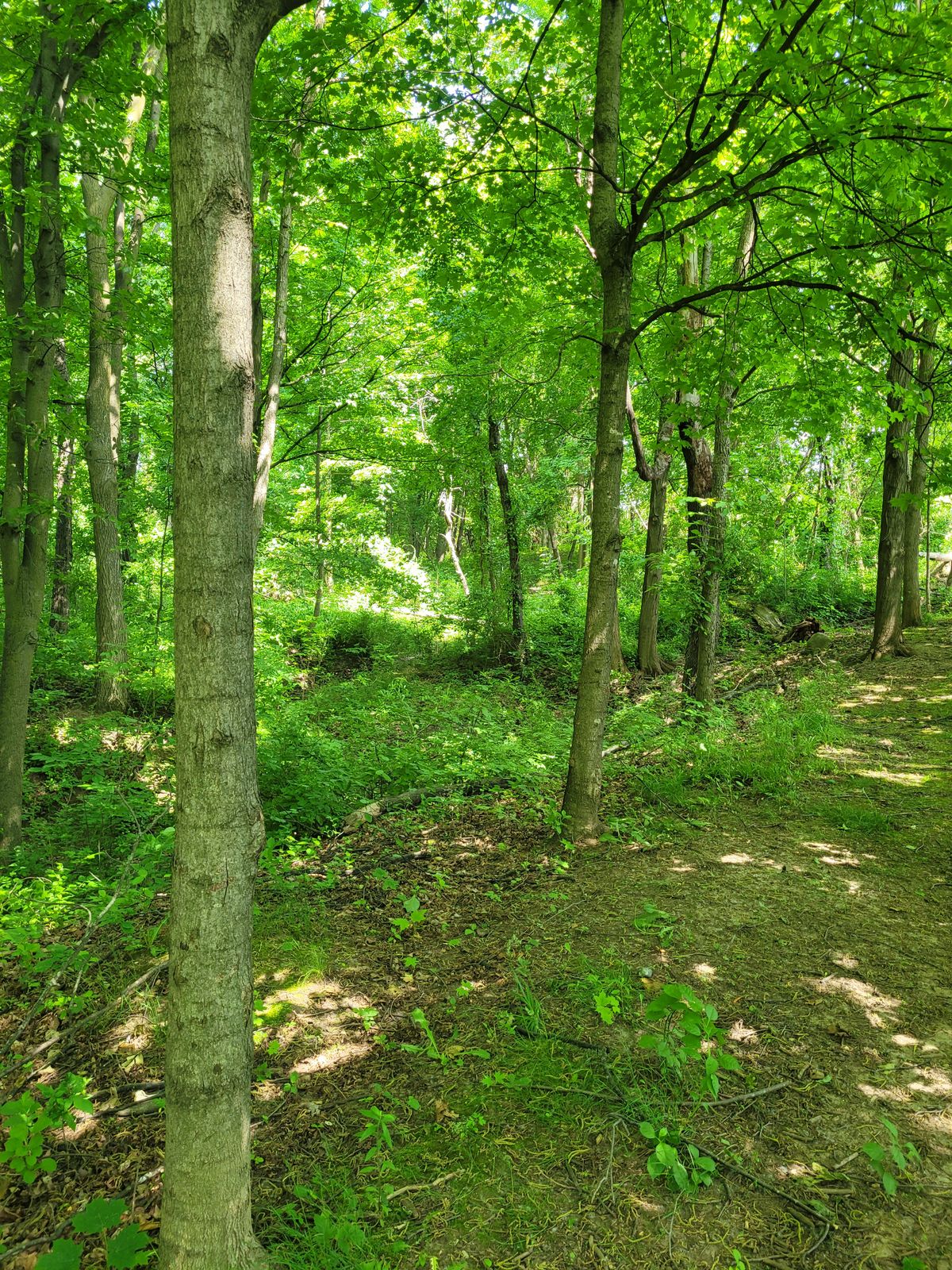 Hole 4