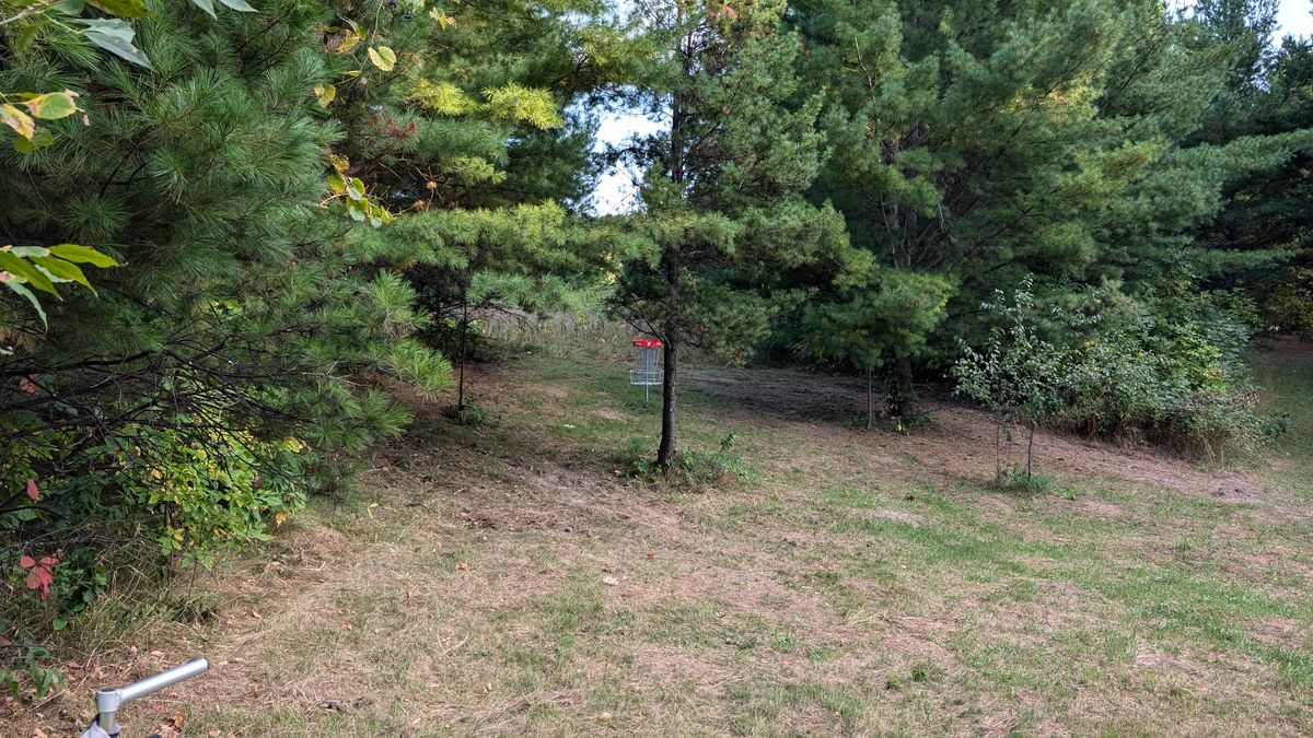 Basket of two is guarded by several pines and plays best for shots that land at the bottom of the hill and skip toward the pin. These pines are very good at catching your disc so if you don't find it on the ground be sure to look up
