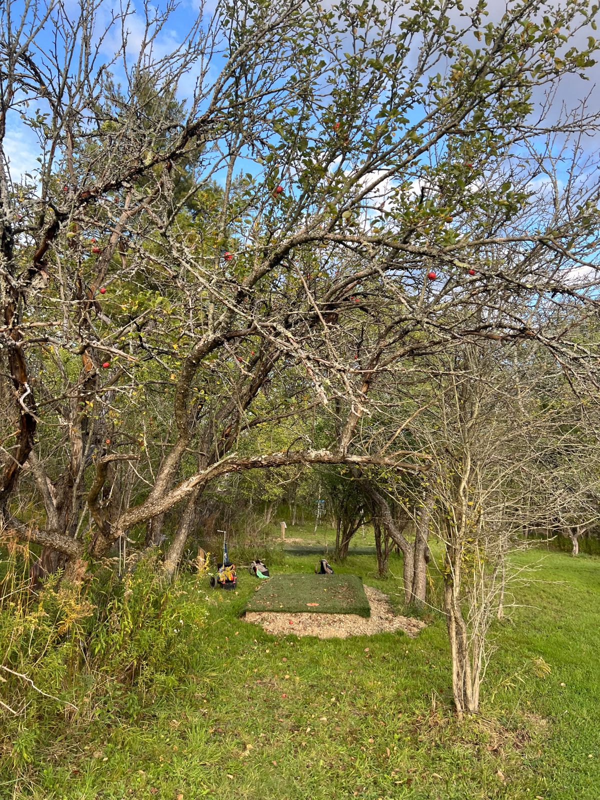 Looking at the tee pad of hole 15