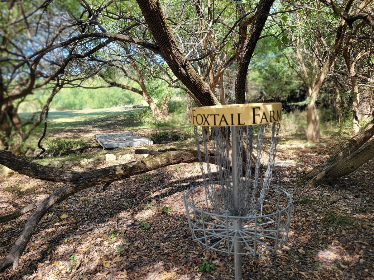 Hole 6
Basket back towards tee