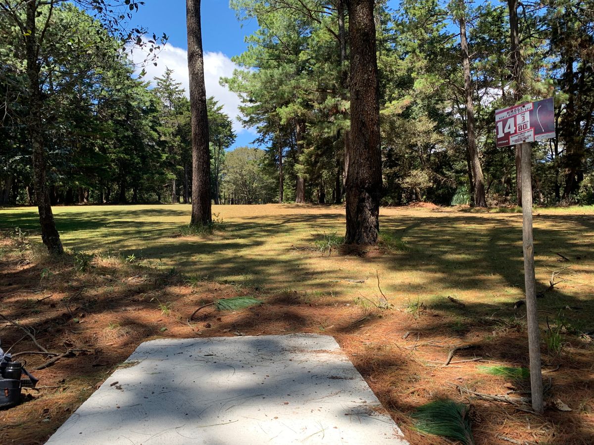 Hole #14 tee pad