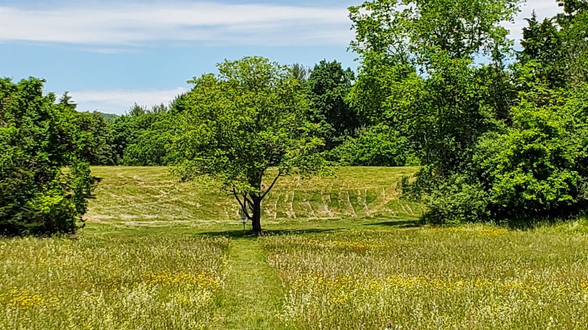 Hole 15