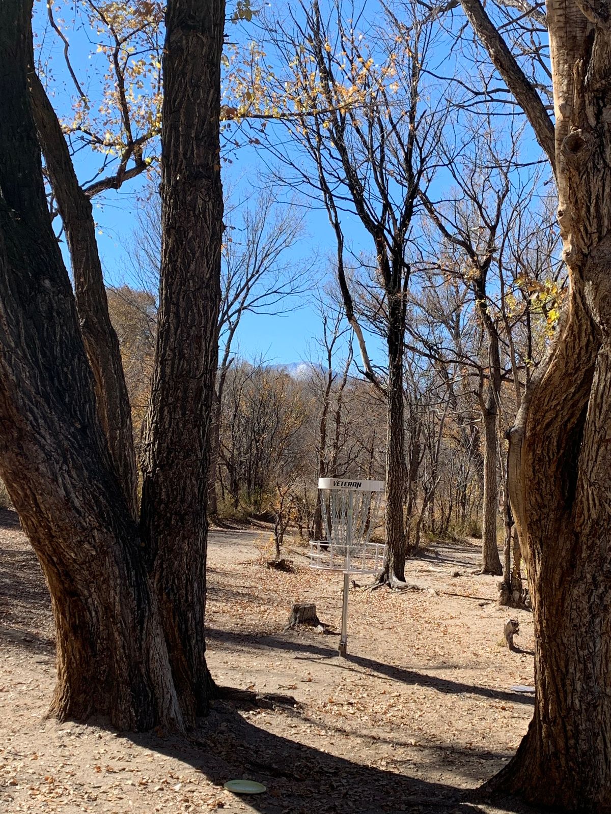 Hole 6 new basket