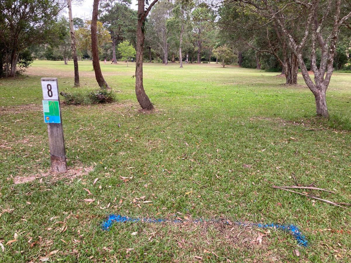 Hole 8 tee
