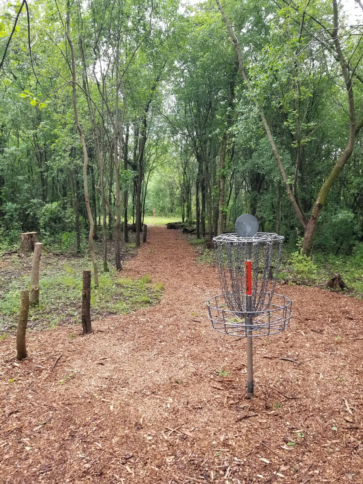 Hole #8 Long Basket