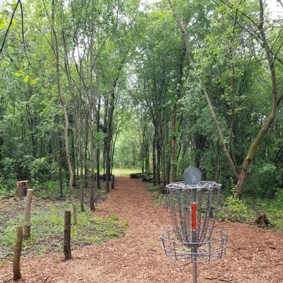 Hole #8 Long Basket