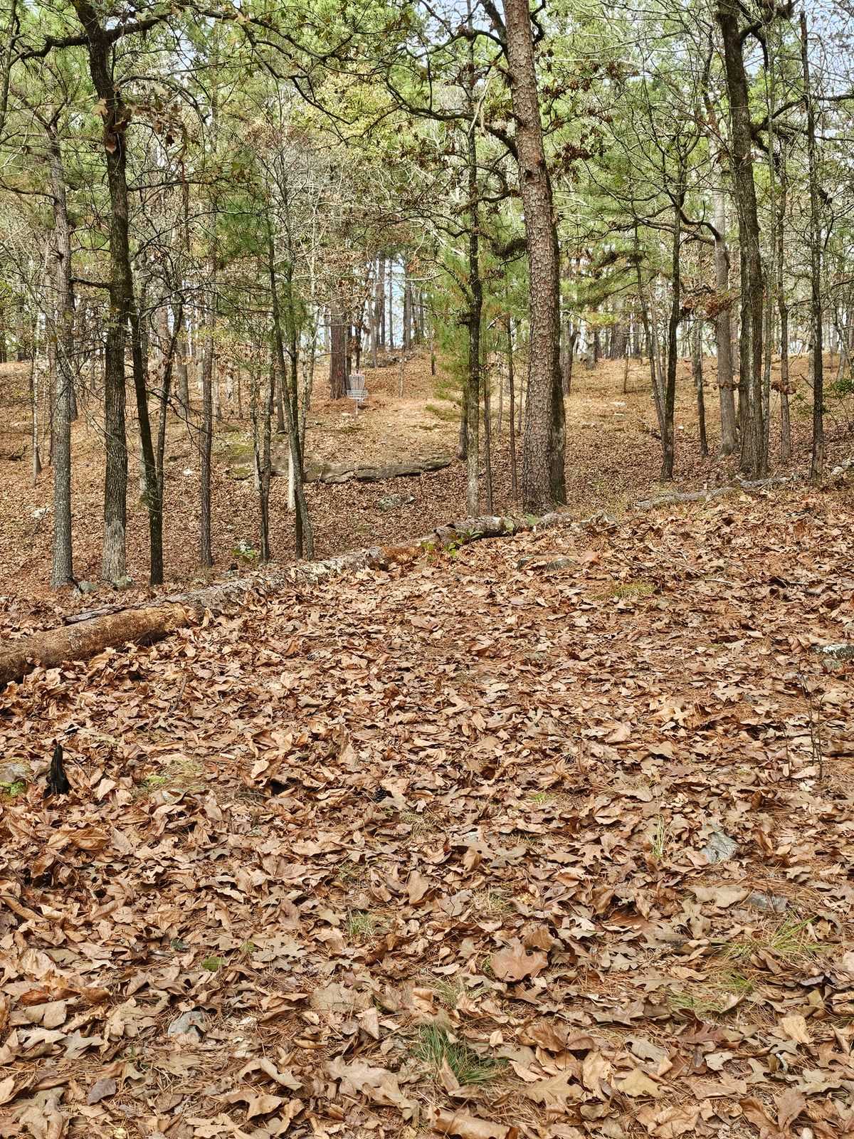 Hole 7