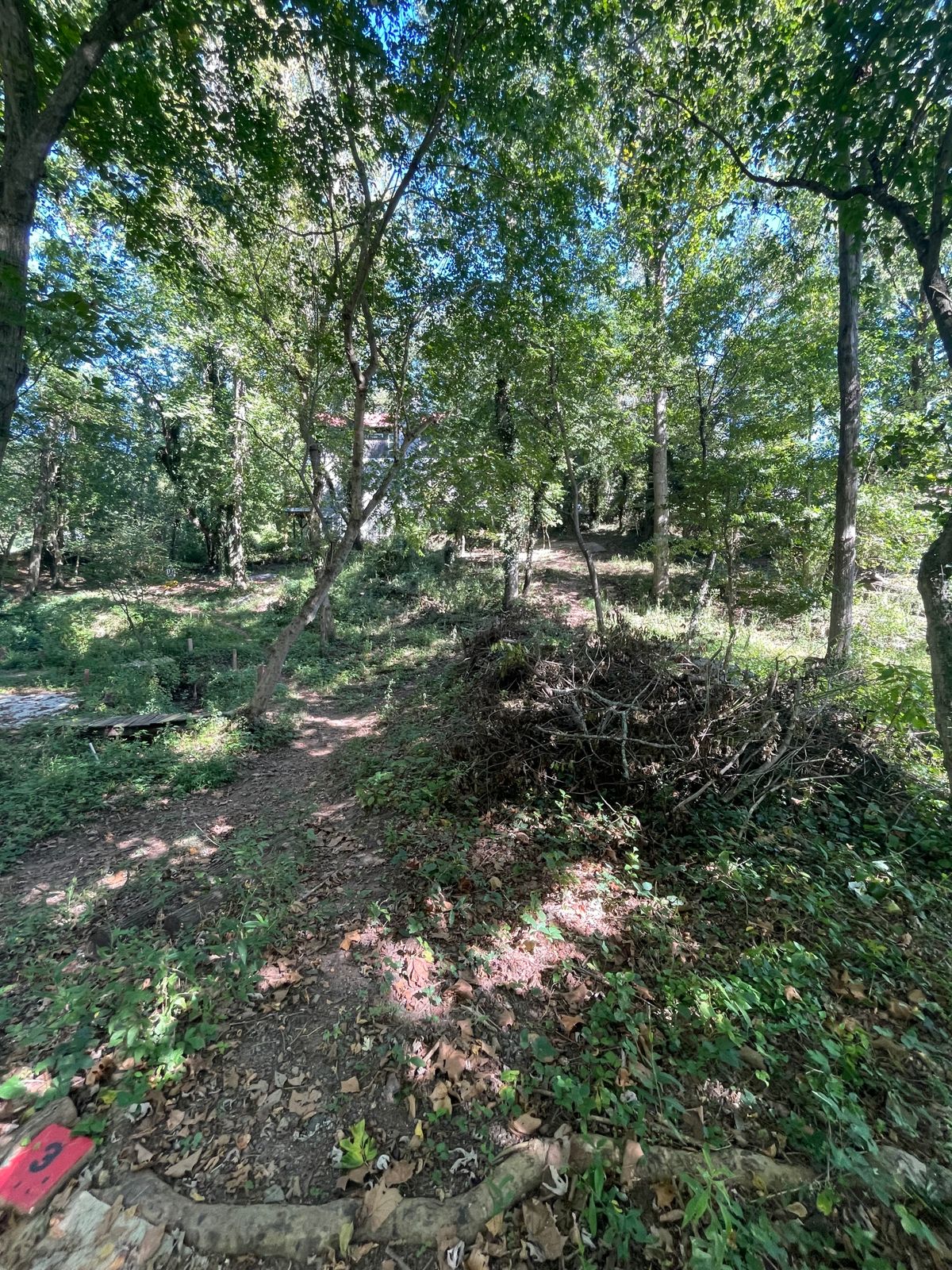 Hole 3 from the red tee pad