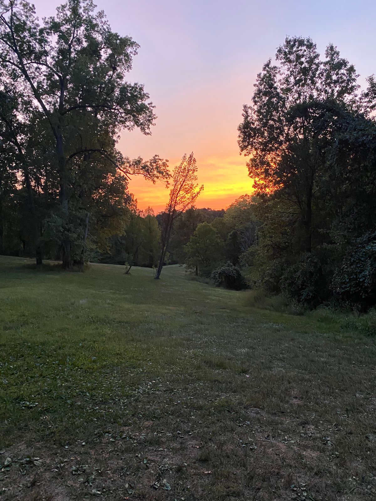Looking down hole #15
