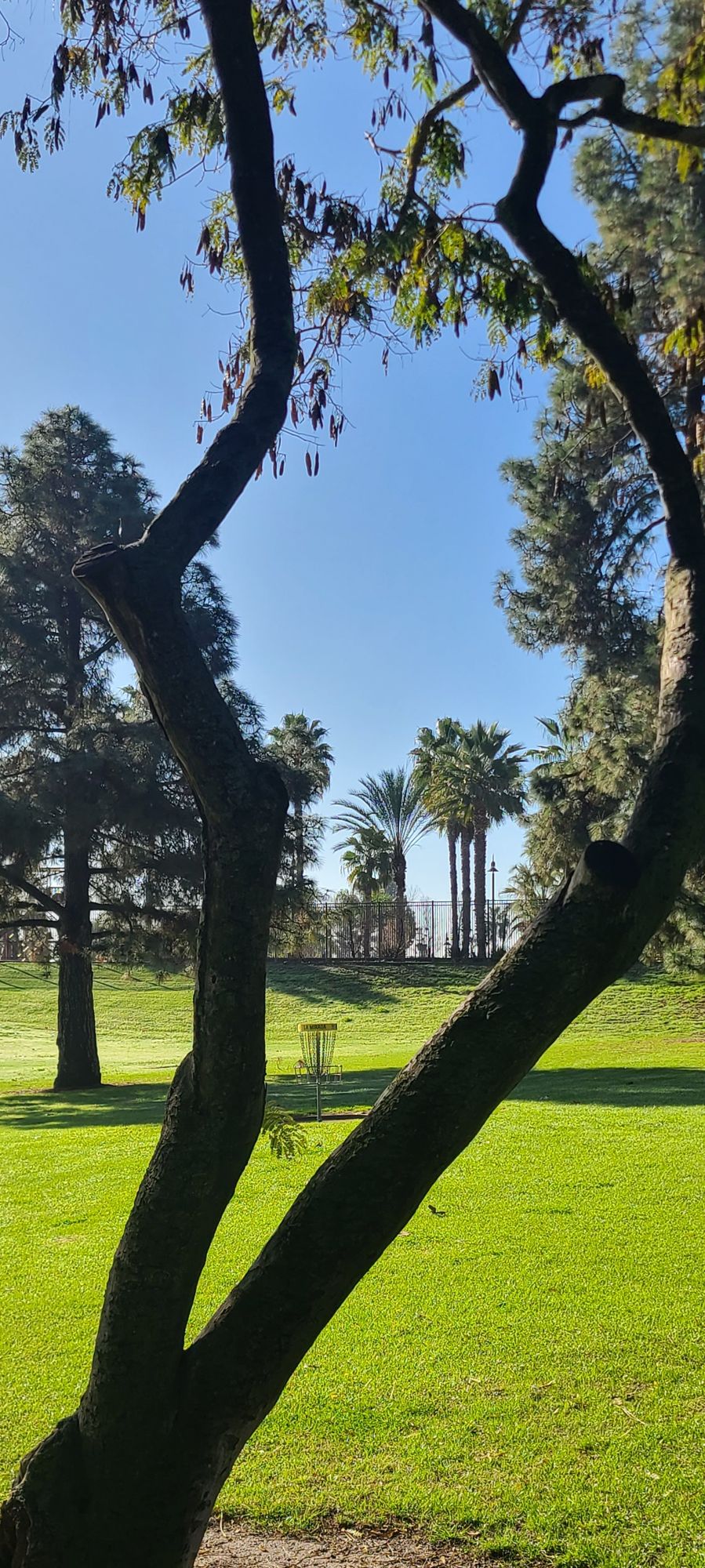 Beautiful day after the rain 🌧 LAMI