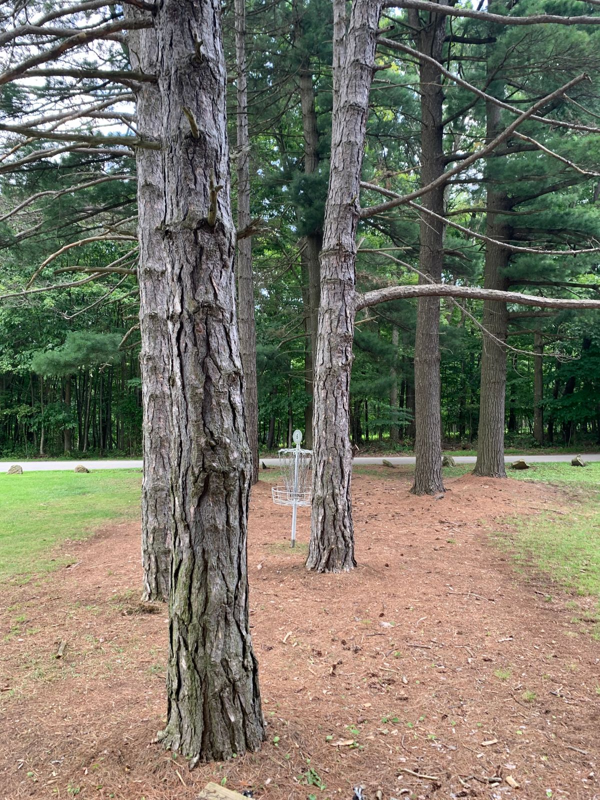 Hole 6 finishes here before going into the woods.