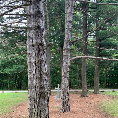 Hole 6 finishes here before going into the woods.