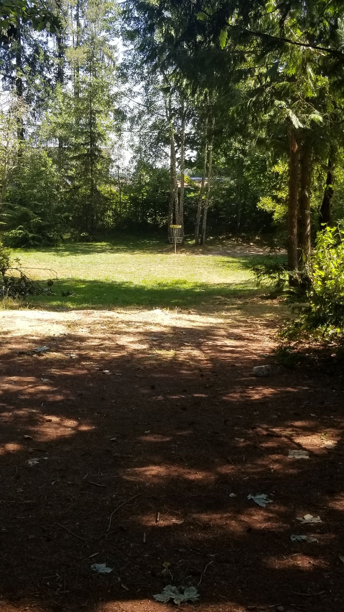 Hole 5