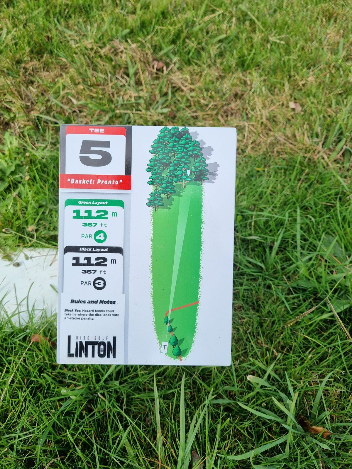 Tee 5