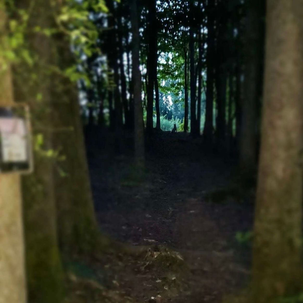 Hole 13