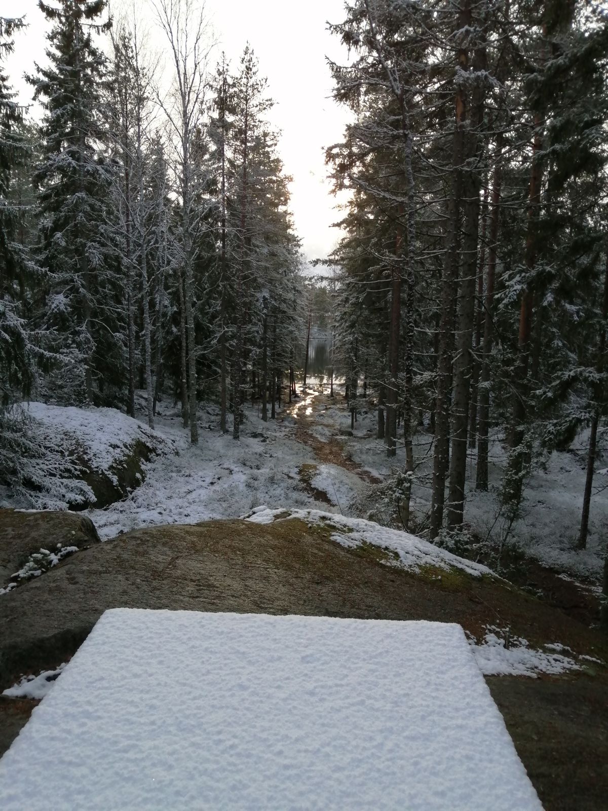 First snow 2020