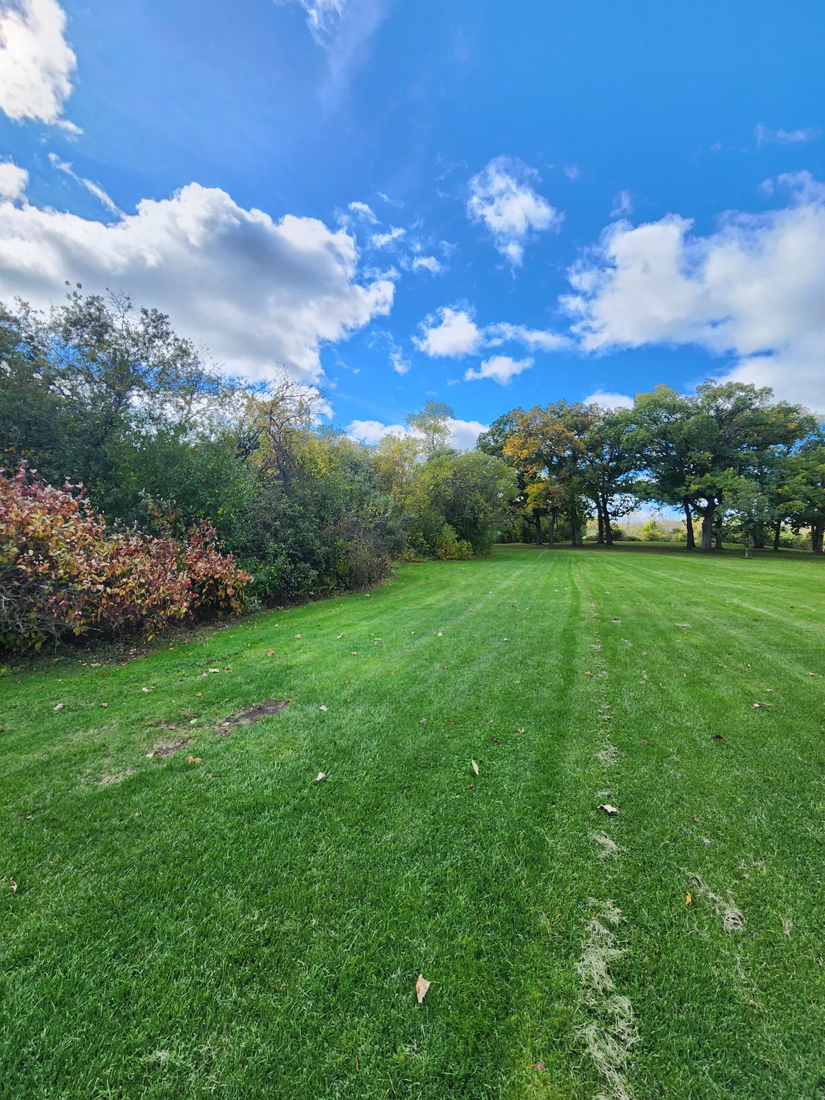 Hole 12 short tee