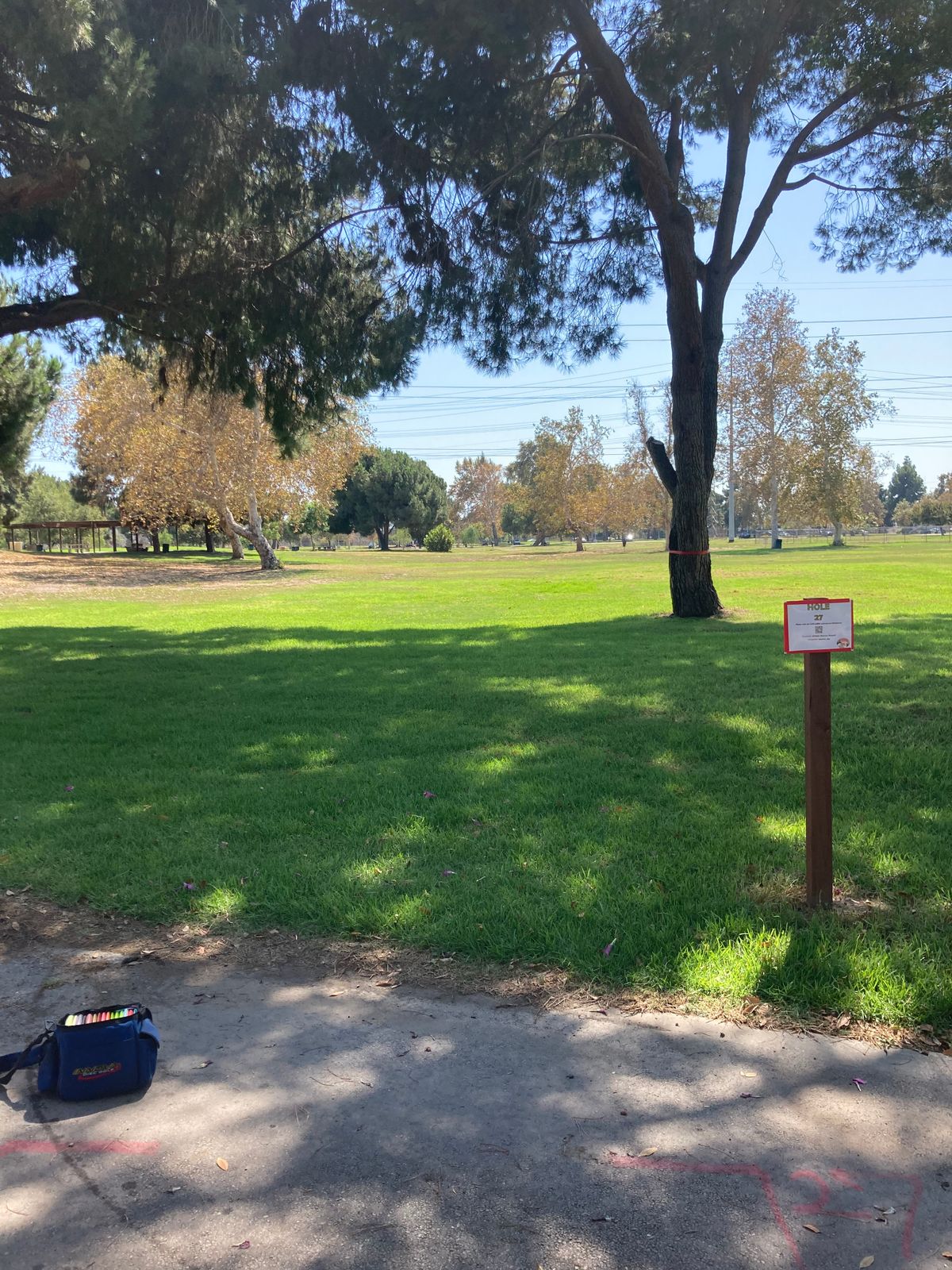 New tee pad position