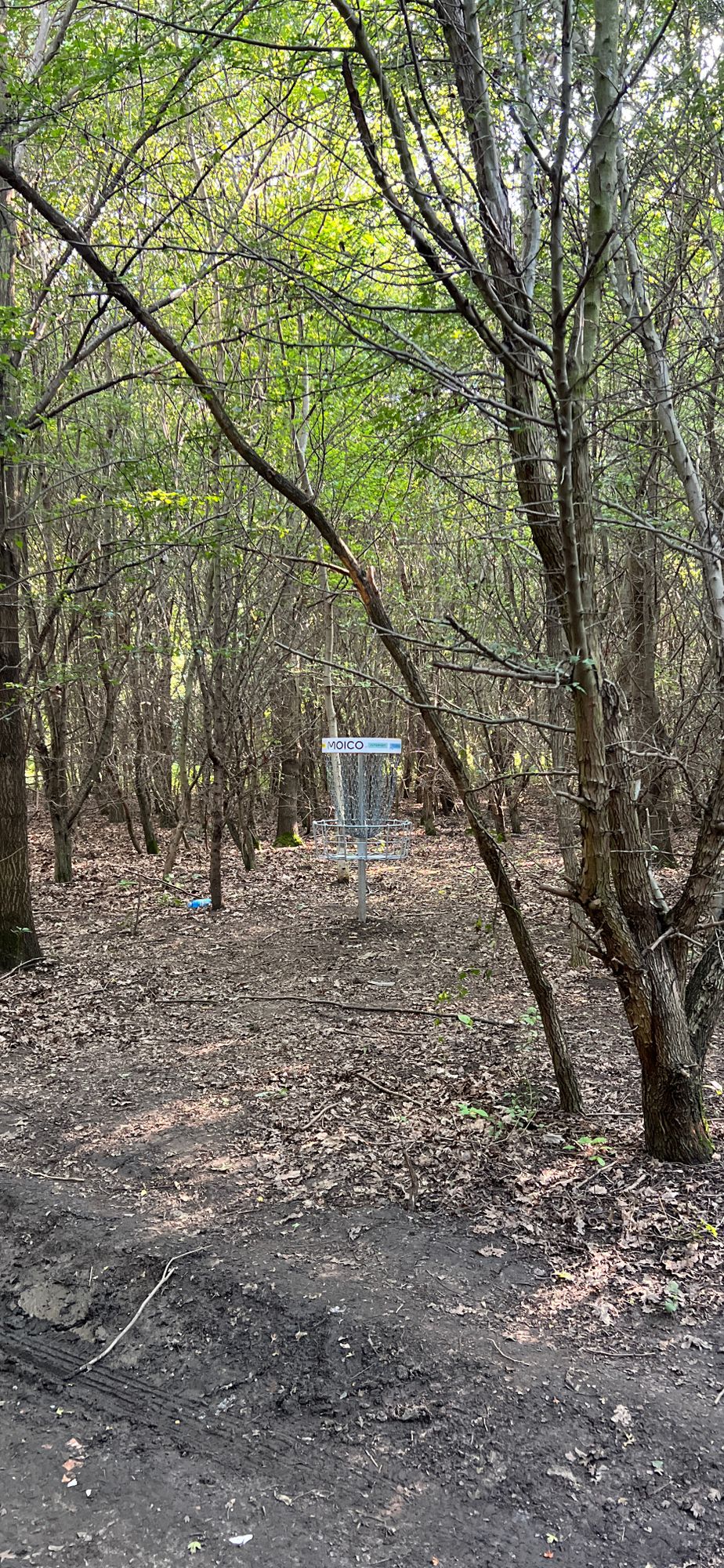 Target #1