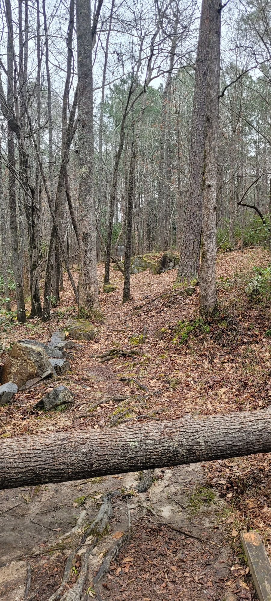 Orange Tee, Hole 10