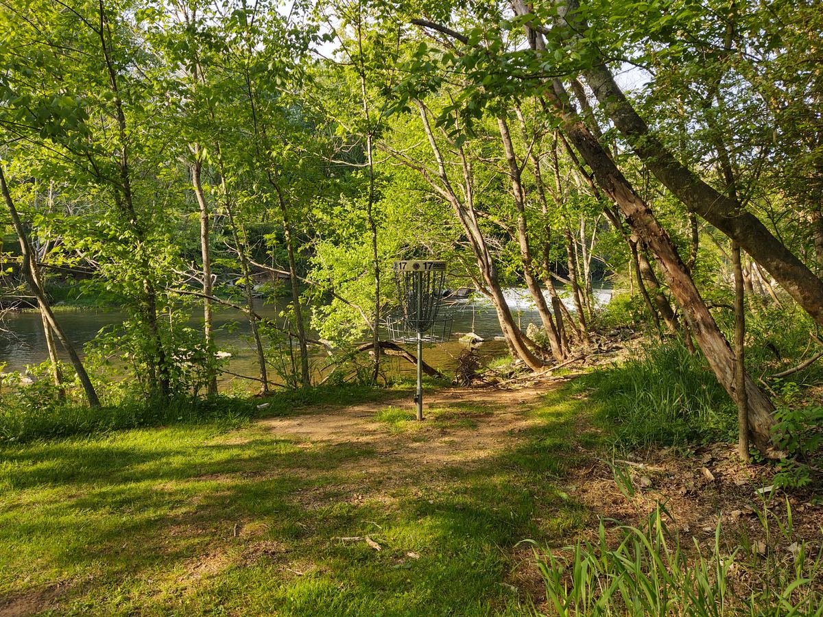 17 Green Hidden by the Creek