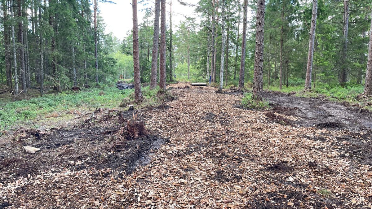 Fairway on hole 4. Looking back from sweetspot to the tees.
