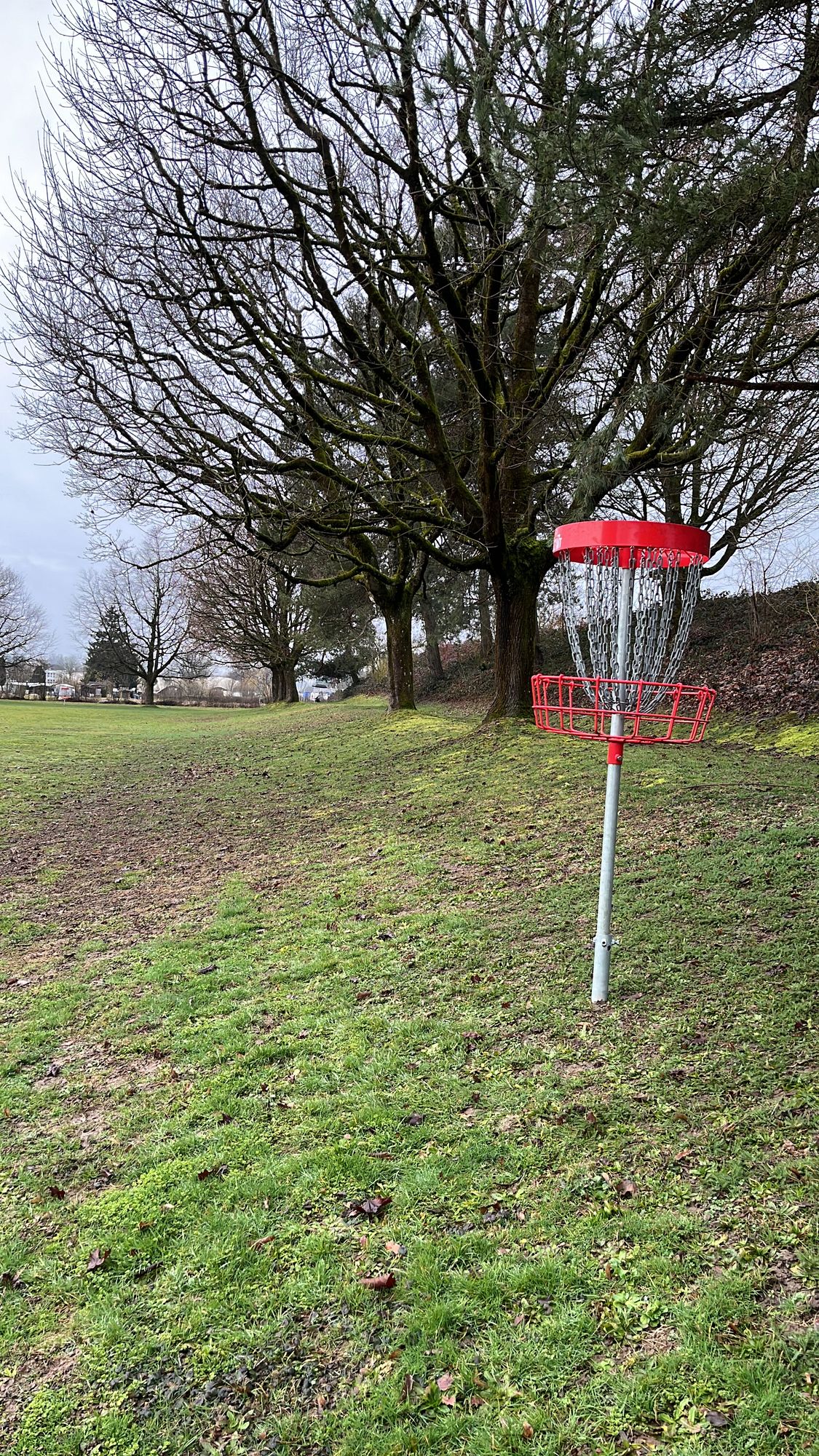 Elevatet Basket on Hole 16 (DDGC 18 Layout)