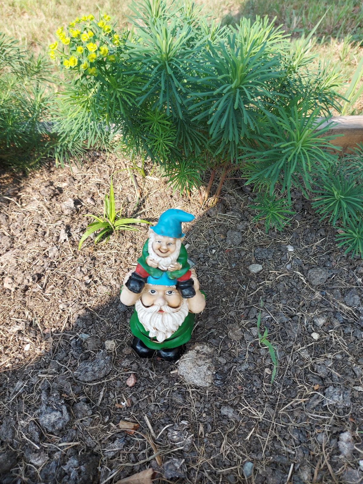 Elf at course map. 🌱🍀🌱🍀