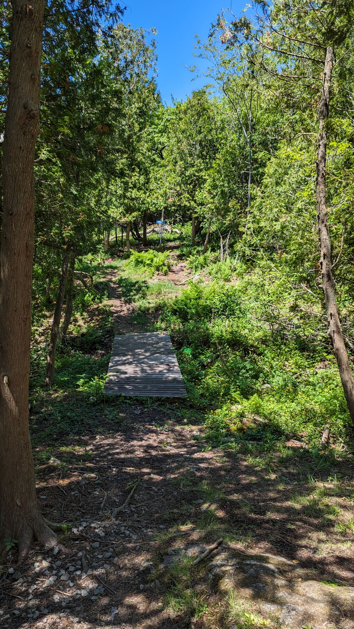 Hole 17
