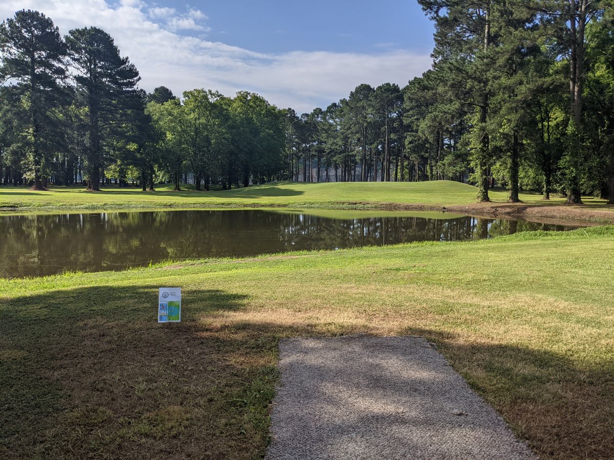 Temp hole 5
