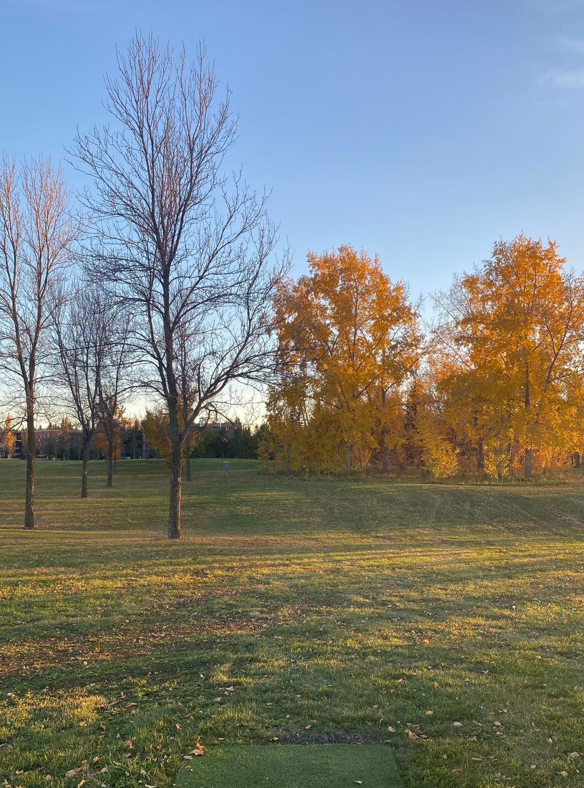 Hole 14, Fall 2023