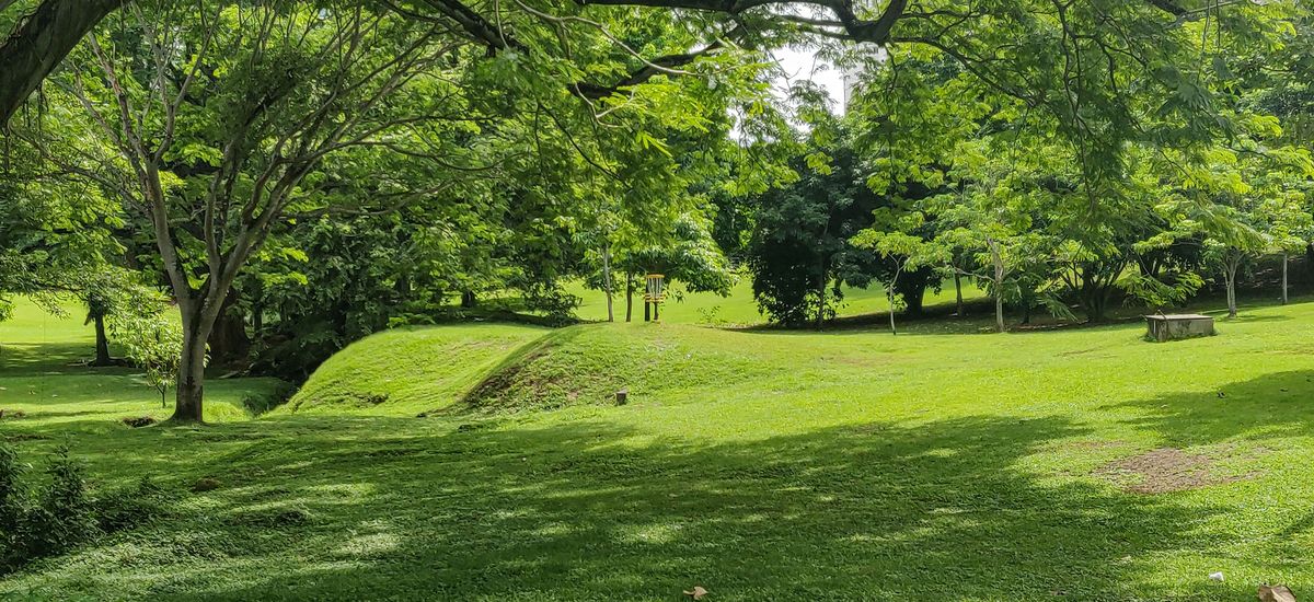 Parque Omar DG Course
Hole 4 Target 