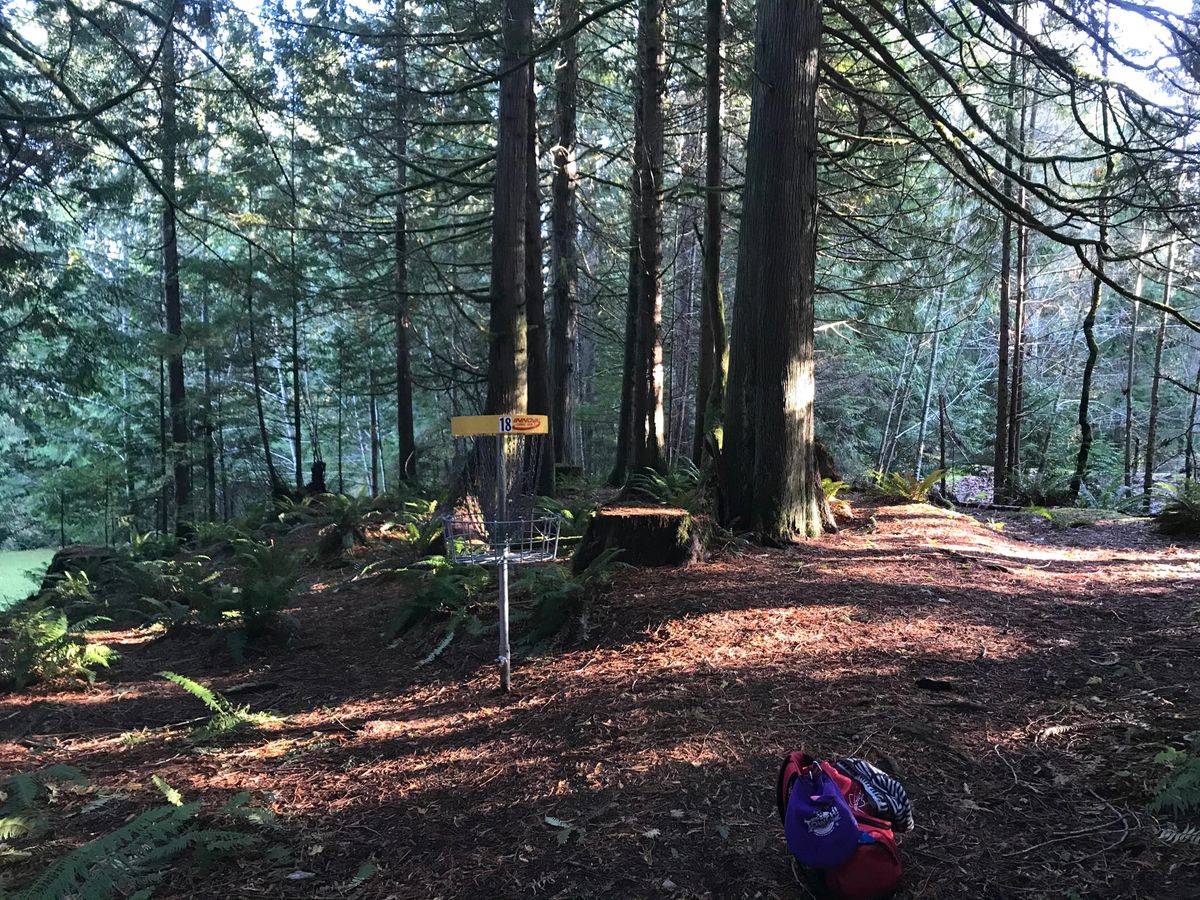 Hole #18 basket in short position