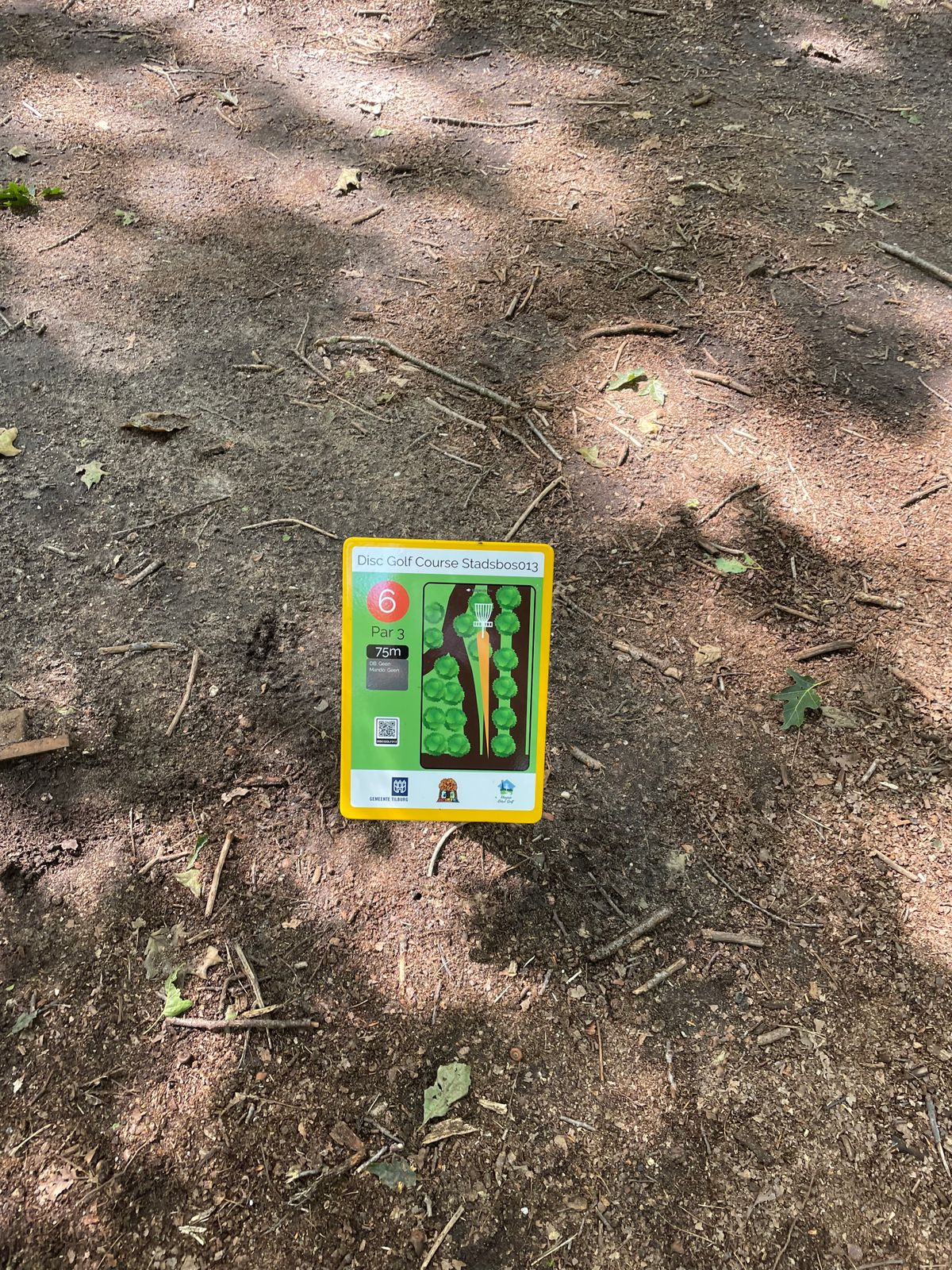 hole 6