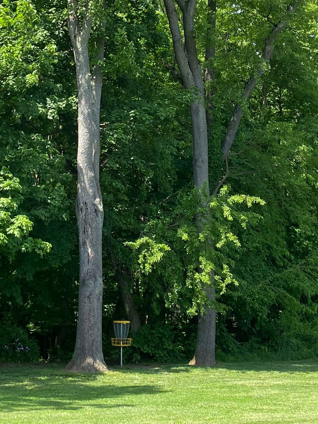 Hole 2 basket