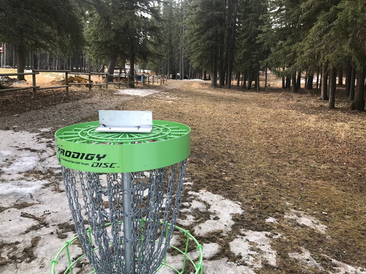 Hole 1: from the basket looking back at the tee pad
