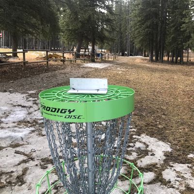 Hole 1: from the basket looking back at the tee pad