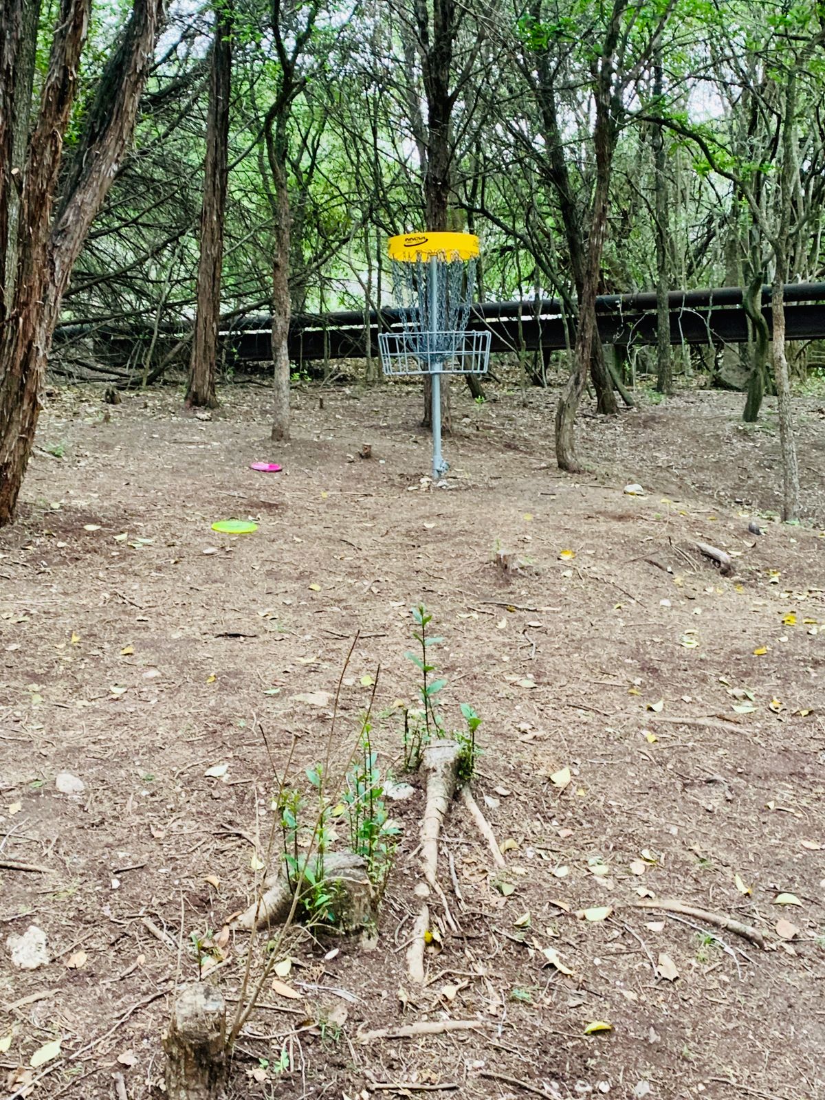 Hole 15
