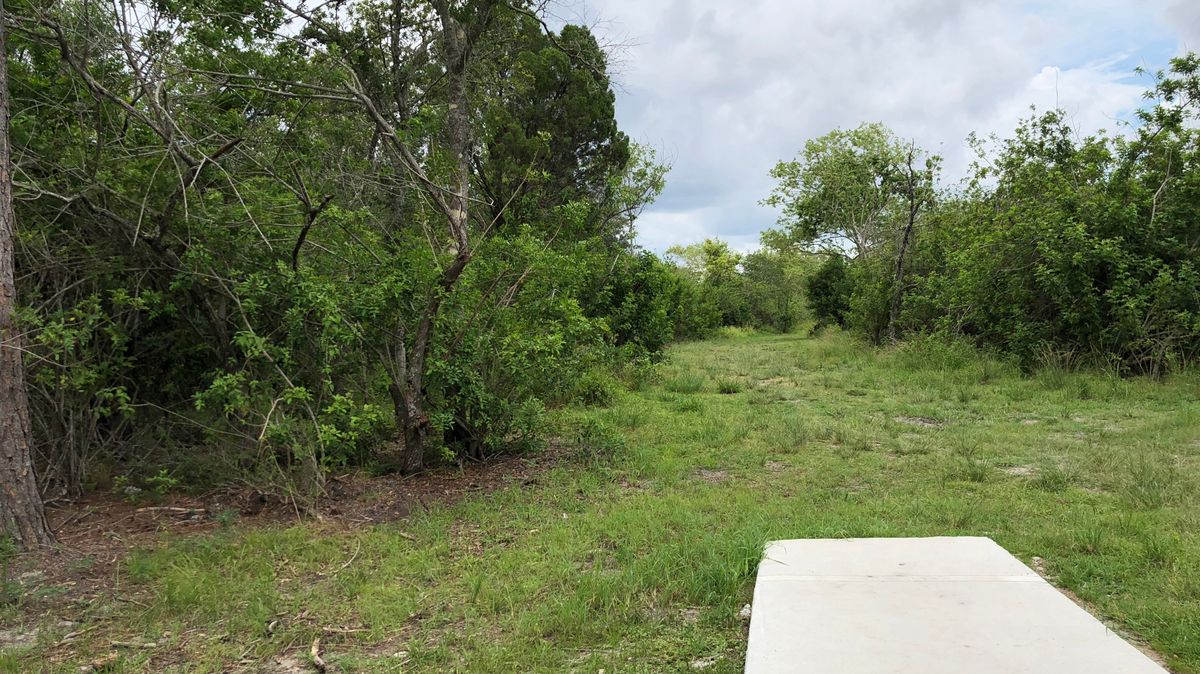 Hole 5