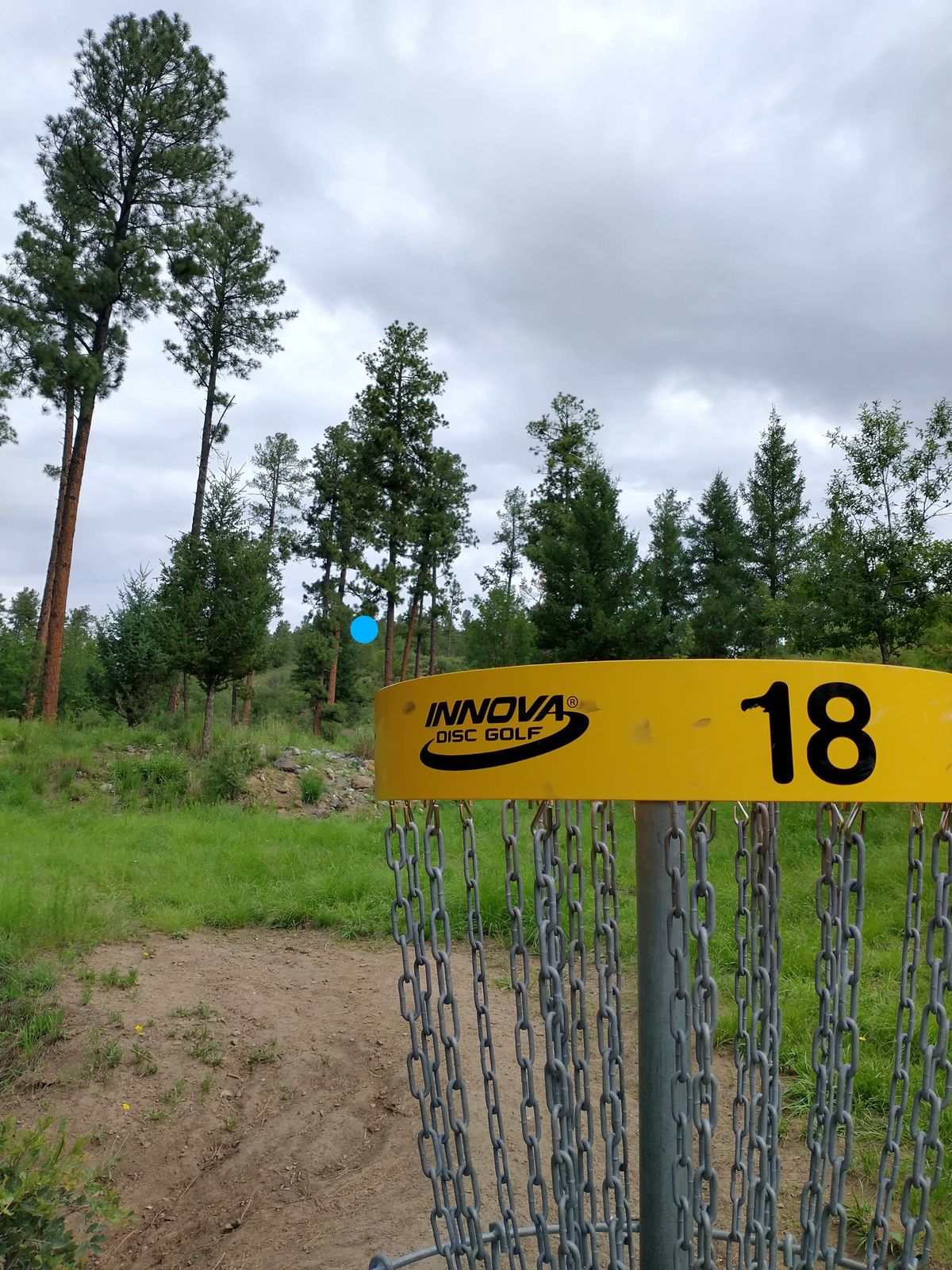 18 basket