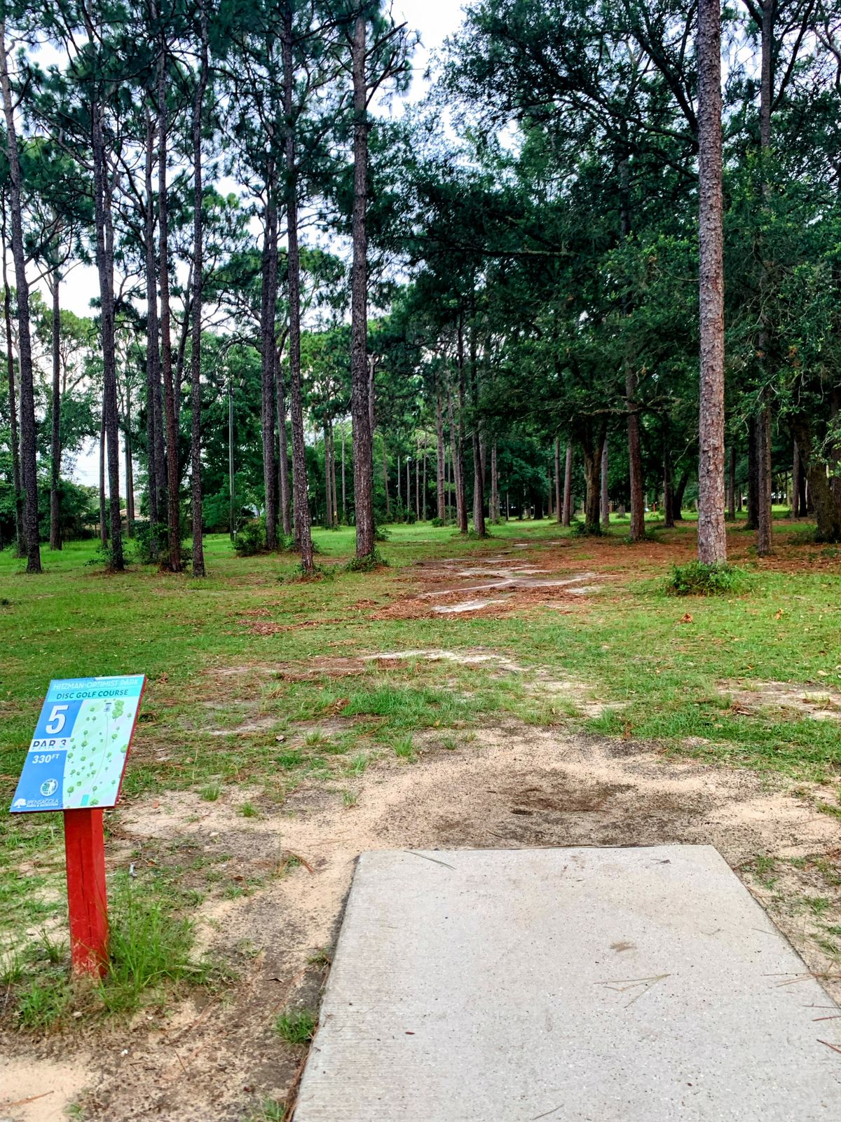 Hole 5, 330ft, par 3