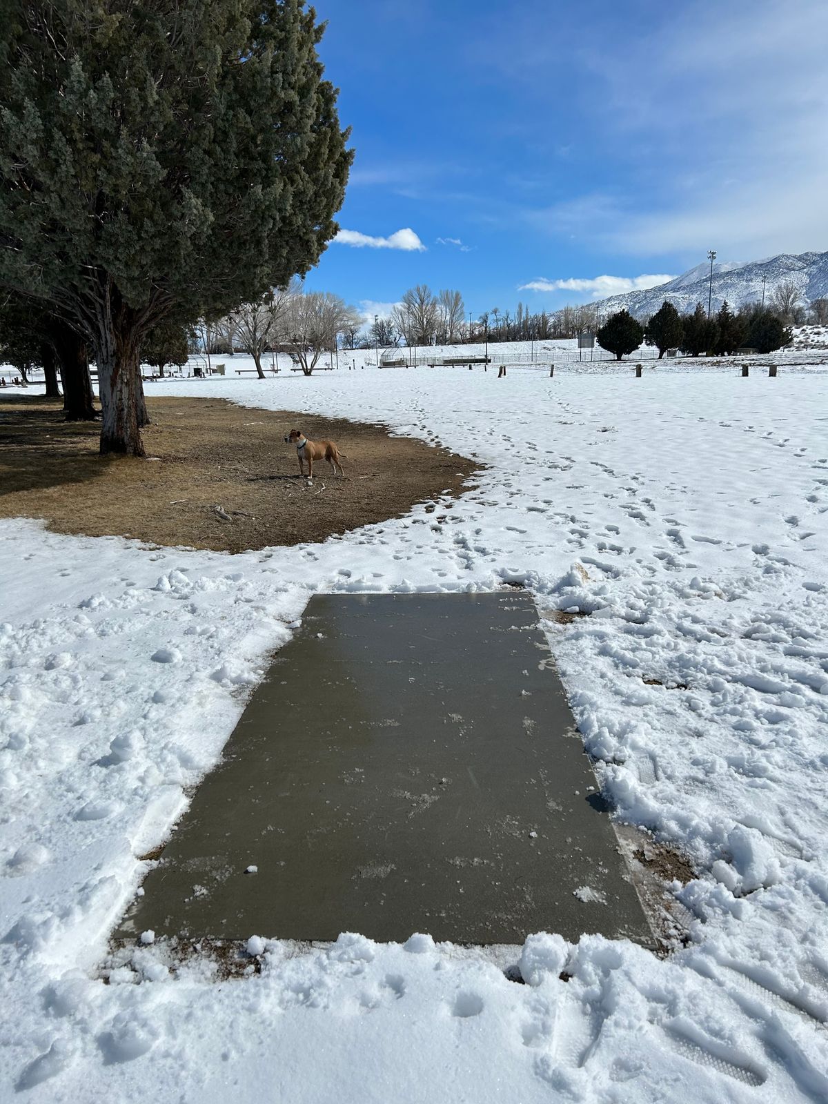 Tee pads are back!!