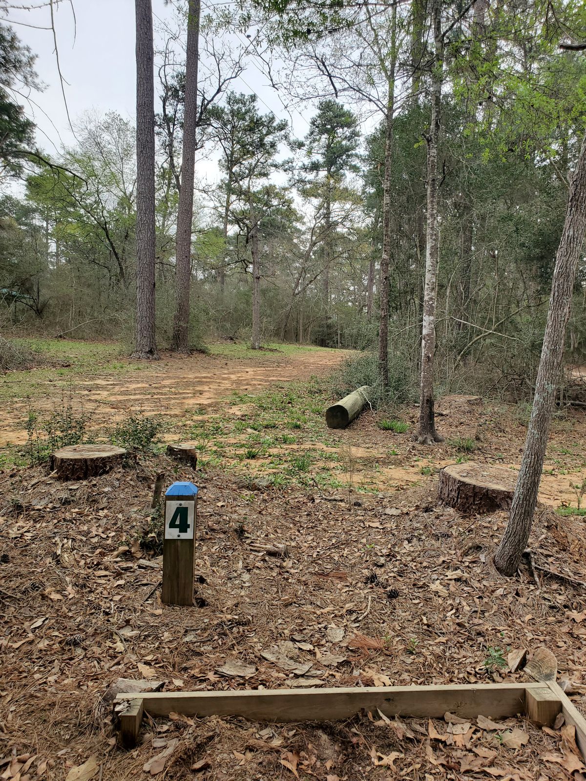 Hole 4 blue tee