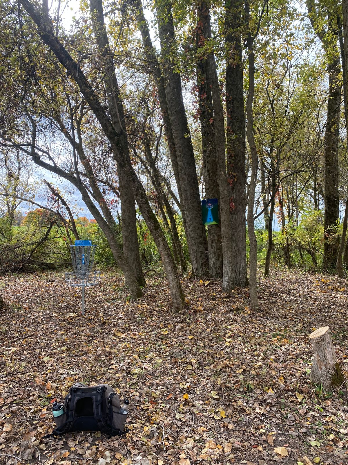 Hole 7 basket