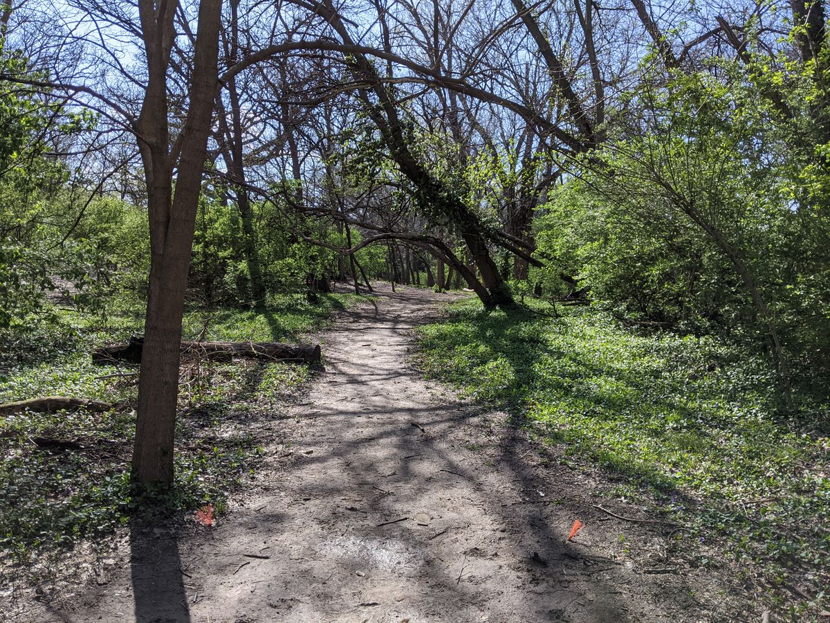 Hole 10 tee to basket view.