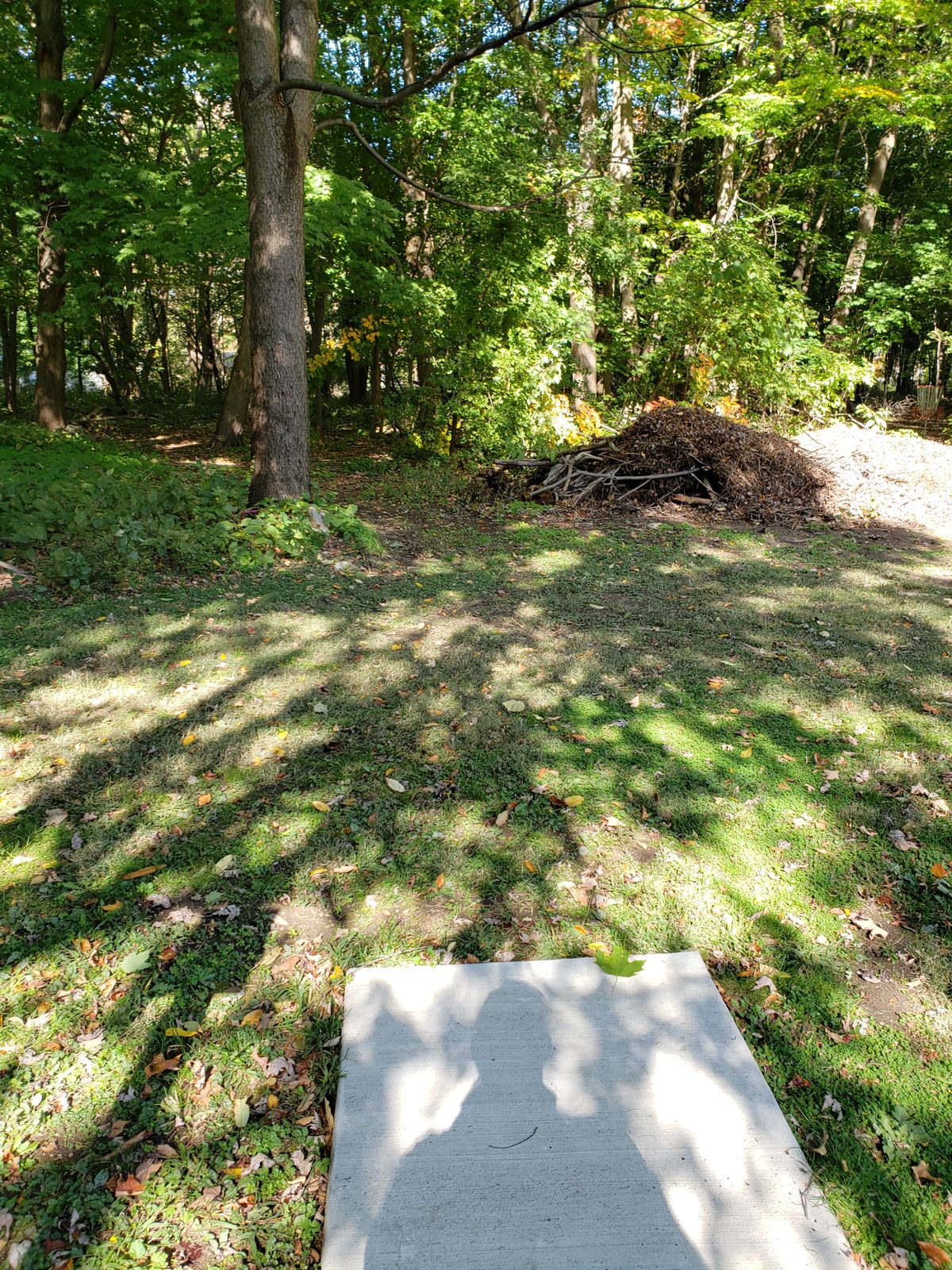 Hole 5