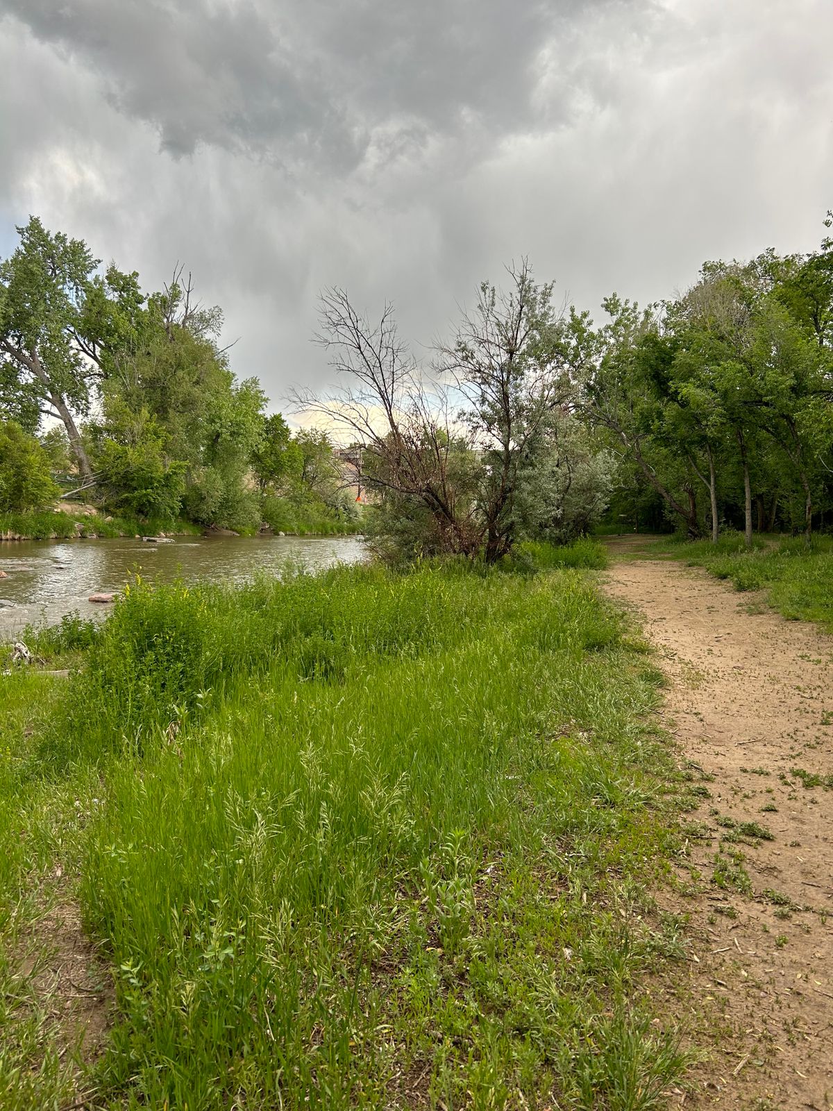 Hole 12