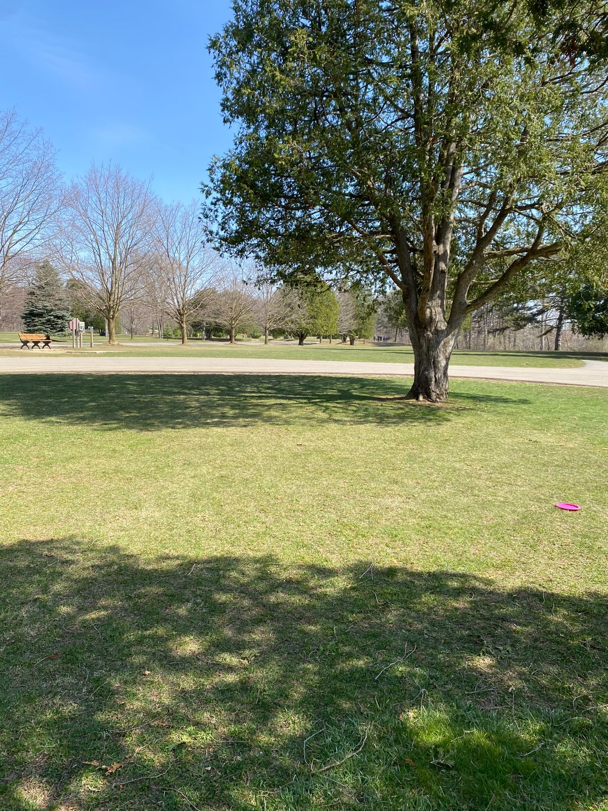 After drive (and tree interaction) from long first tee.