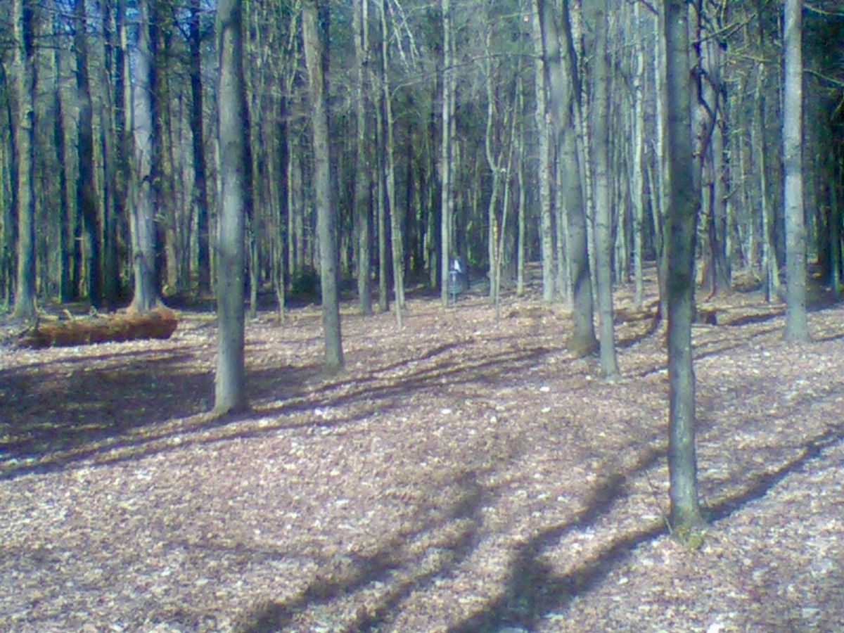 Hole 4